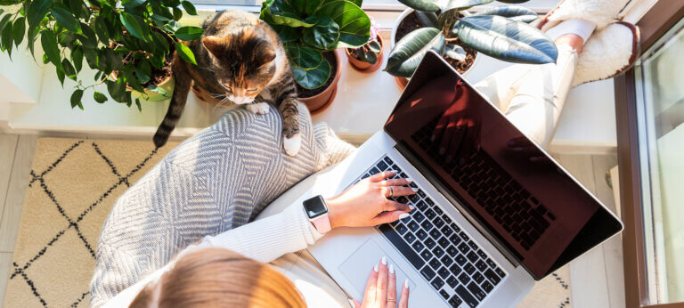 Woman freelancer sitting on armchair and putting your feet on windowsill with plants, remote works on laptop computer at sunny home office, cat nearby wants attention and to be stroked. Top view.